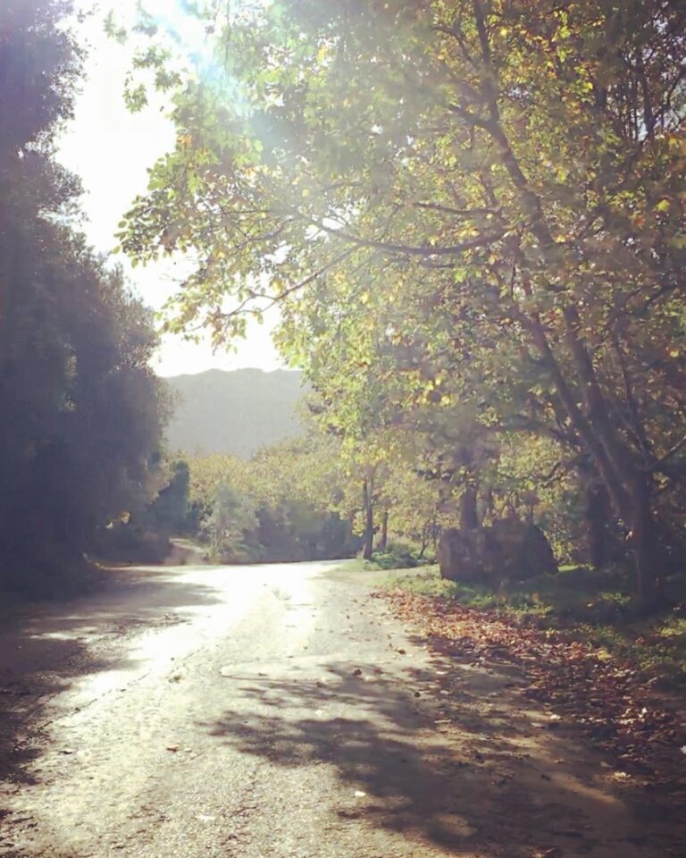 Autumn Road Running Retreat