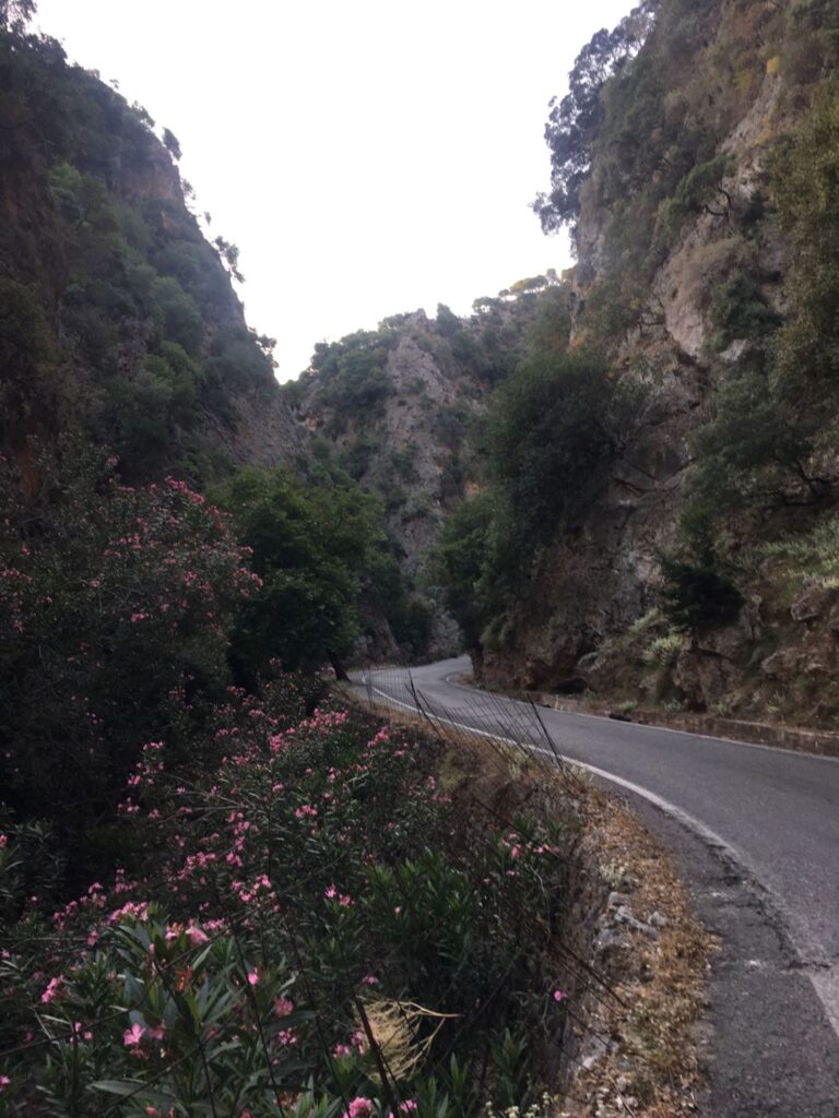 Theriso Gorge Road Run
