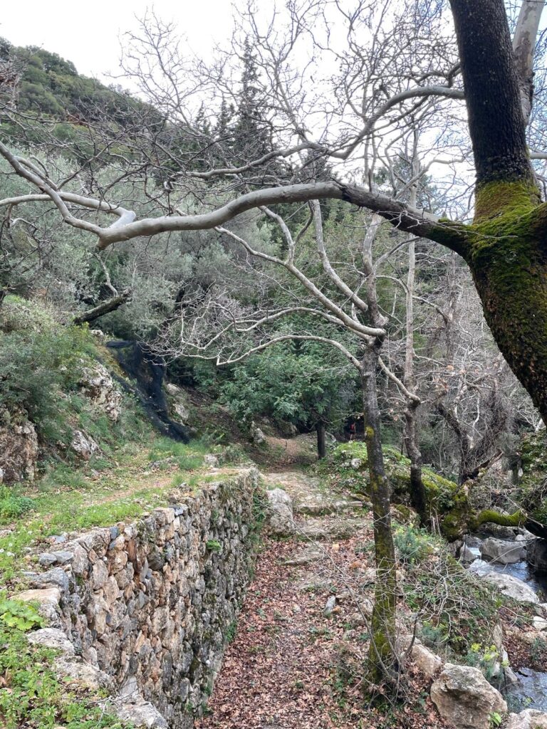 Anidri > Azogires Cave Hike