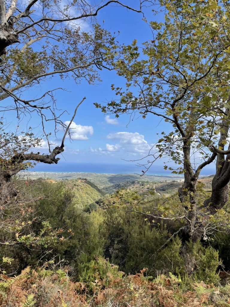 Kournas Village Unexpected Forest