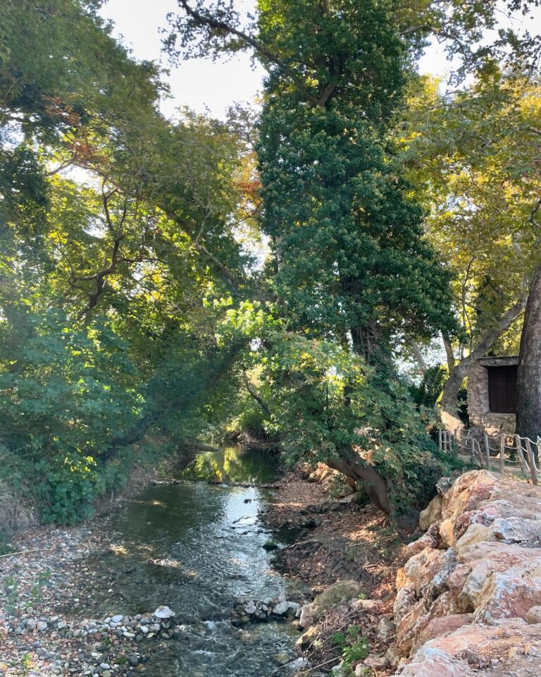 Koiliaris River Hike for Chania Animals