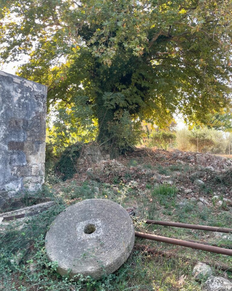 Koiliaris River Hike for Chania Animals