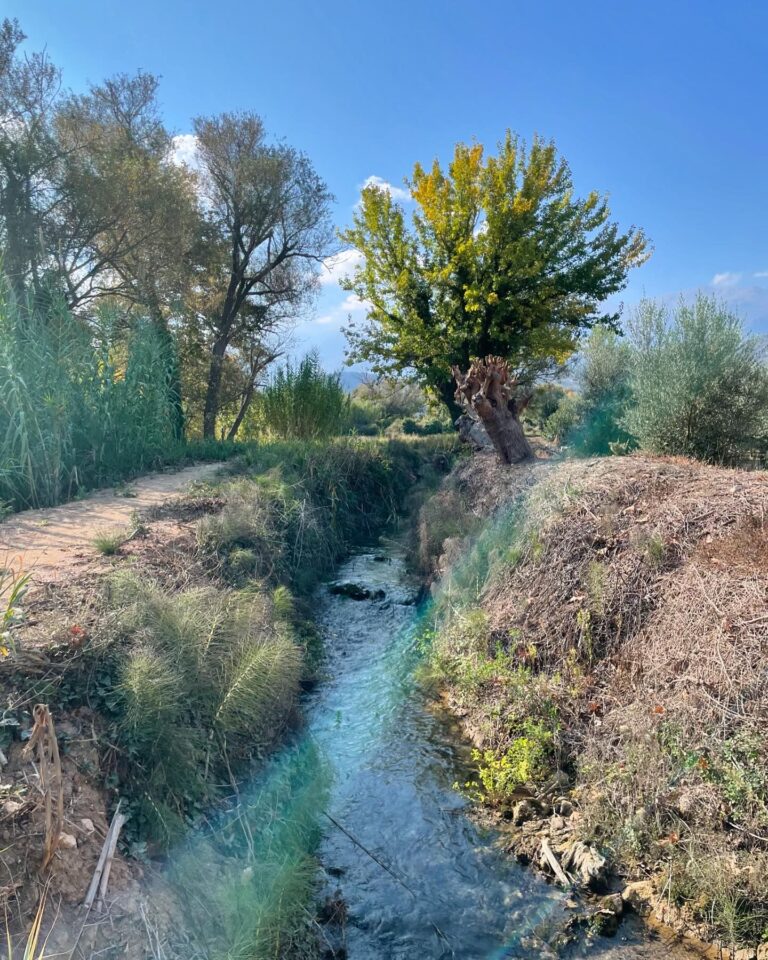 Koiliaris River Hike for Chania Animals